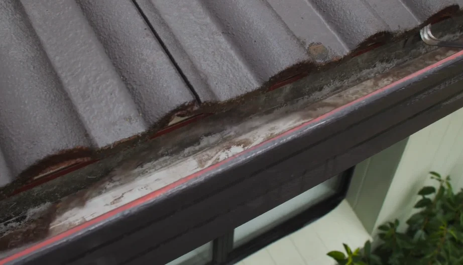 Our gutter cleaning service in Bellevue